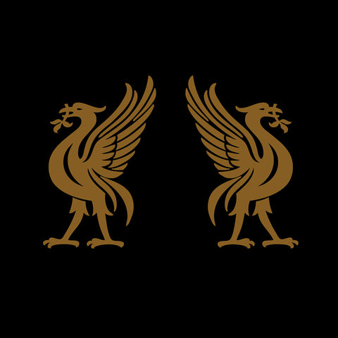 Liverbirds w/ Jon Snodgrass